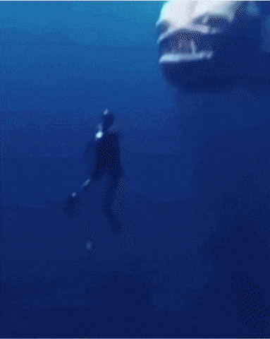 물 공포증, 심해 공포증 짤모음.gif : 네이버 블로그