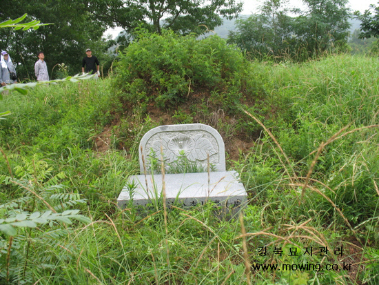  묘지사초.묘지개장화장.산소이장.묘지공사전문업체- 경북묘지관리