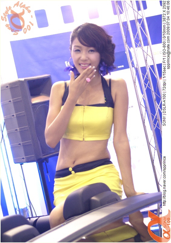  2009 서울 오토살롱