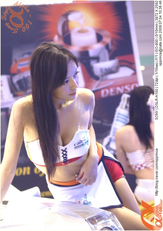  2009 서울 오토살롱
