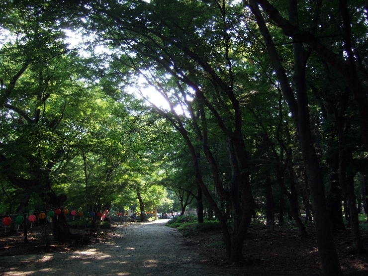  선운사