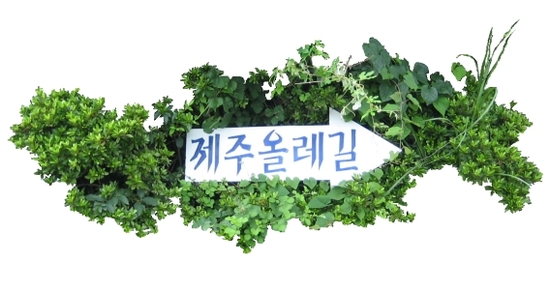 제주올레 1코스 - (1) 시흥초등학교에서 말미오름까지 제주올레 1코스 - (1) 시흥초등학교에서 말미오름까지