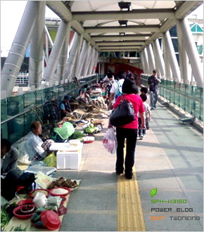 "인간다운 광경" "인간다운 광경"
