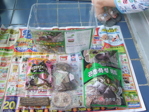 첫 만남~ 첫 만남~