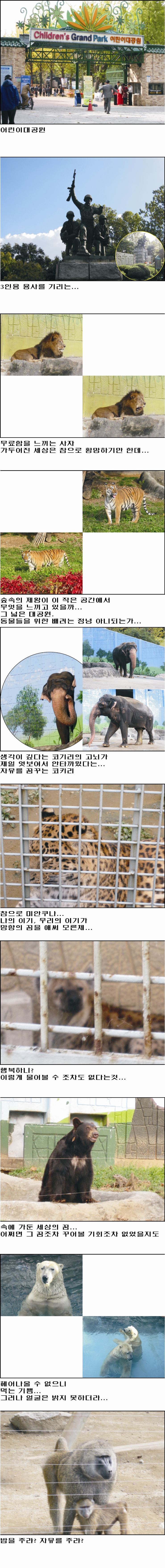 어린이대공원 탐방기 어린이대공원 탐방기