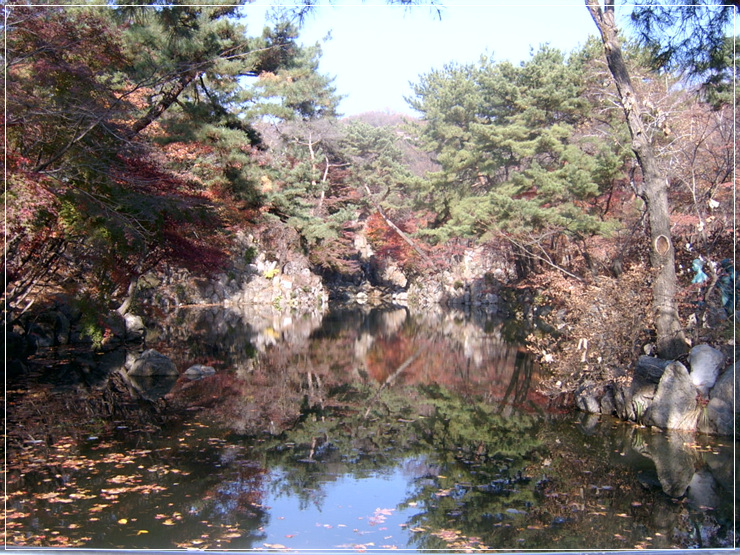  학교의 선동호