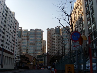  반야월 아파트 월세 태영 데시앙 월세 주택 빌라 원룸 월세 