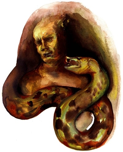 사막의 왕 뱀 변신