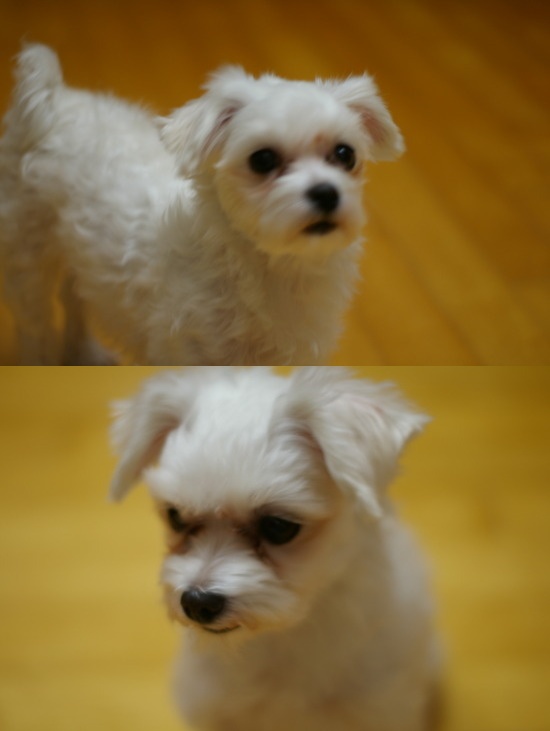 우리봉선이 우리봉선이