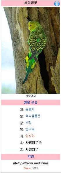 잉꼬 : 네이버 블로그