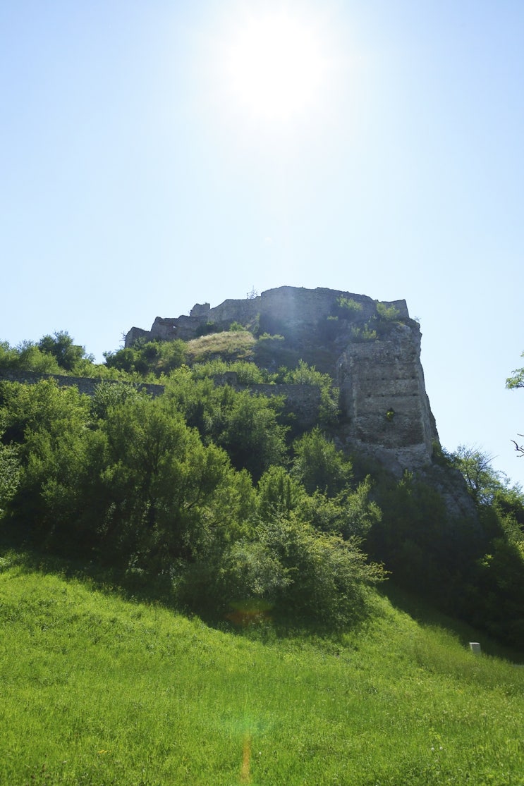  devin castle