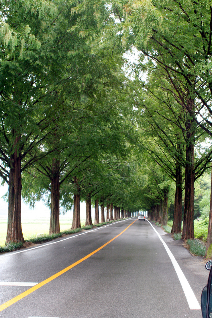  2010-09-22 전라북도 순창군 강천산 