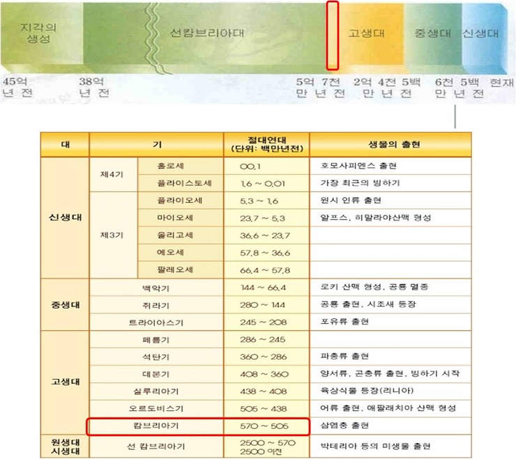  진화와 창조