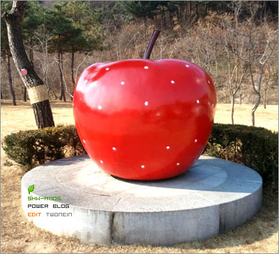 "진짜 큰 사과를 보다." "진짜 큰 사과를 보다."