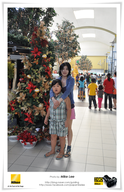 [2010/11/07] Christmas tree
