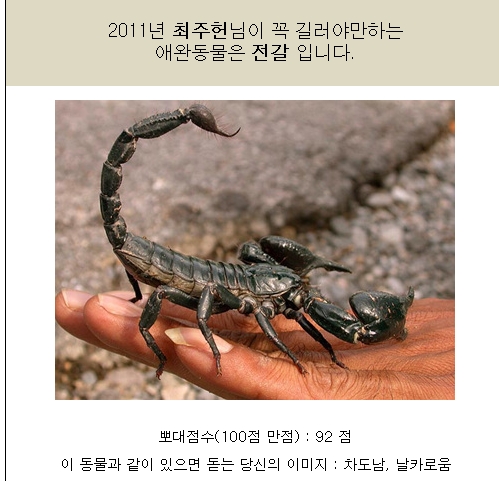  이름에 맞는 동물 찾기? 사이트