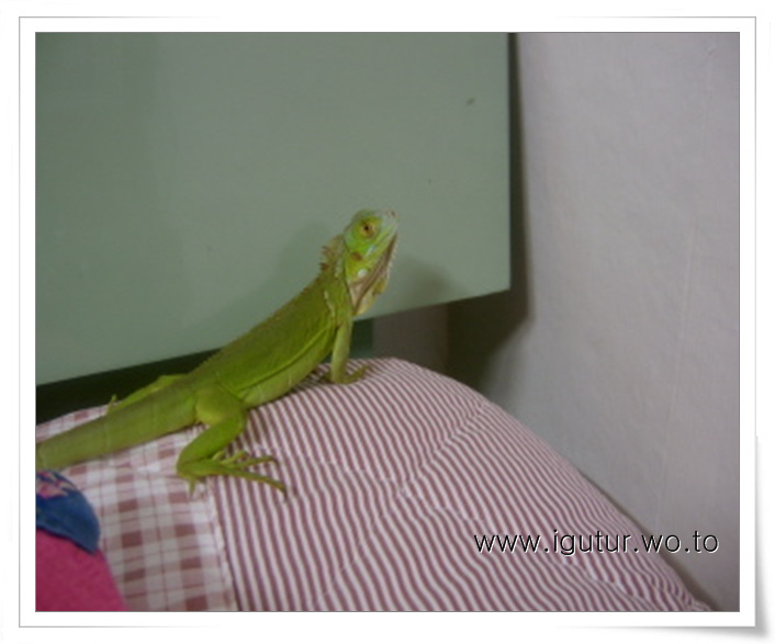  2004/04/03 침대위에서..