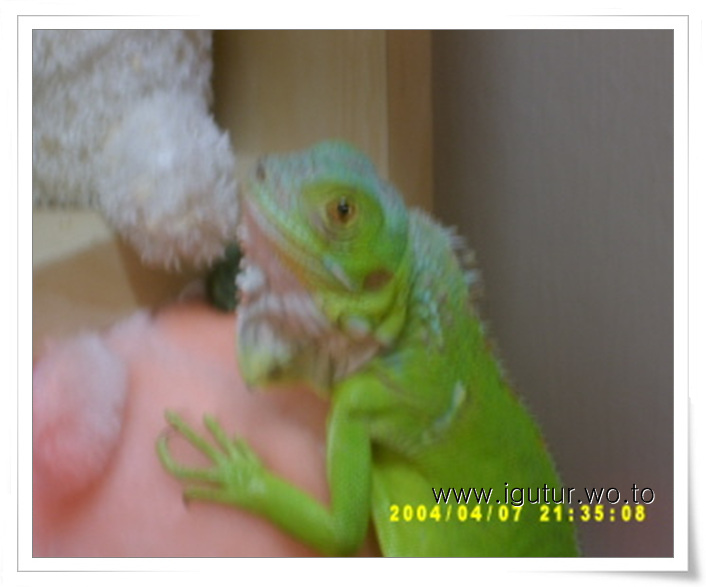  2004/04/10 그린이는 쑥쓰럼쟁이~!