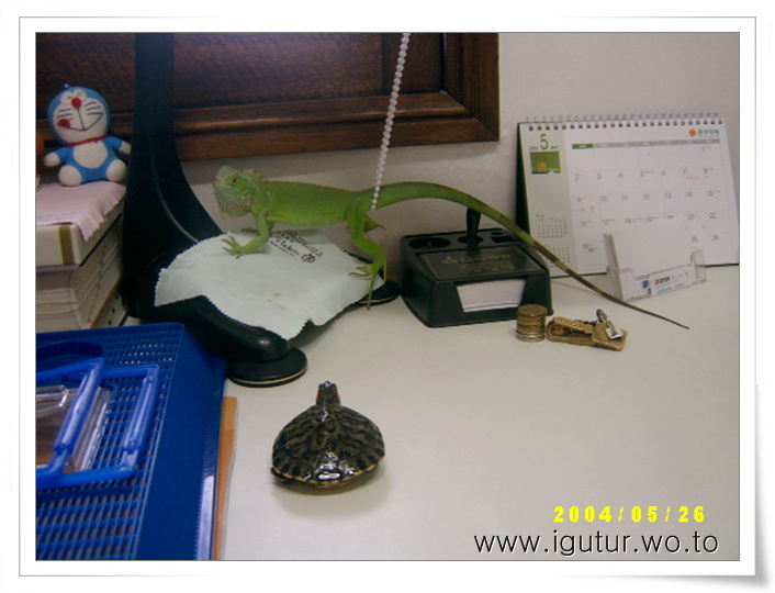  2004/05/26 그린이의 이상한 포즈.