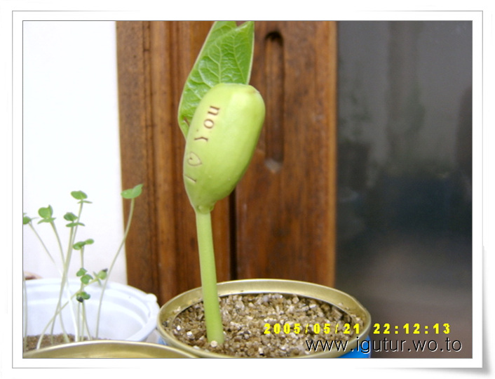 2005/05/21 선명한 I  YOU