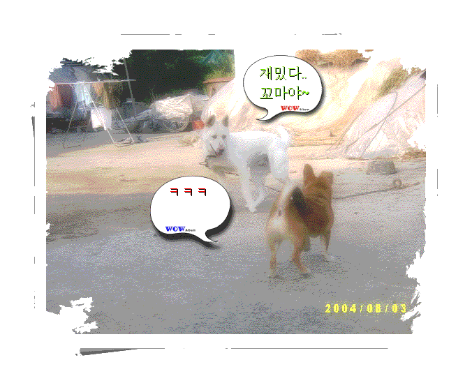  2004/08/06 와우와 포토샵과 온펫