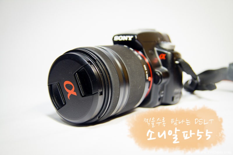 반투명미러의 혁명을 만나다 :: 찍을수록 탐나는 DSLT, 소니알파55(SLT-A55V) 알파55 원본사진 첨....