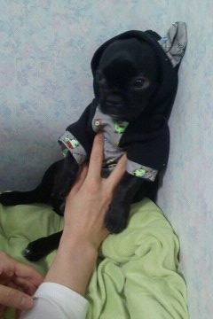  벌서는 별이 3탄