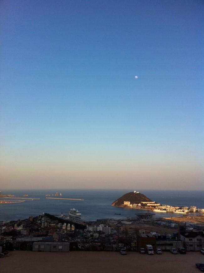  영도