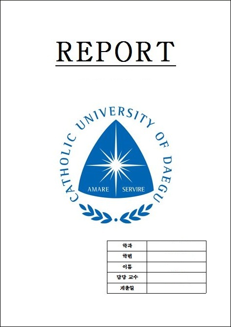 대가대, 대구가톨릭대학교 레포트 표지 입니다. 