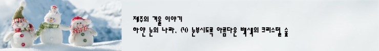 윗세오름 (1) 어리목 계곡에서 하얀 크리스털 숲속으로 윗세오름 (1) 어리목 계곡에서 하얀 크리스털 숲속으로