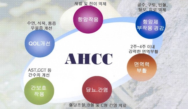 AHCC 효능 요약 및 면역력 강화 비밀 연구 결과