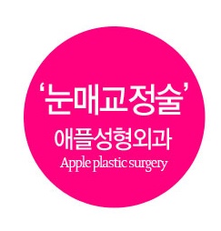  [눈매교정술] 아름다운 눈성형 - 눈매교정술 [애플성형외과/신근식원장]