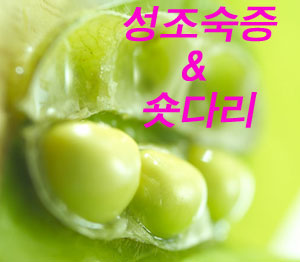  [와글와글 클릭]`콩` 많이 먹으면 `성조숙증` 유발.."헉, 진짜?"