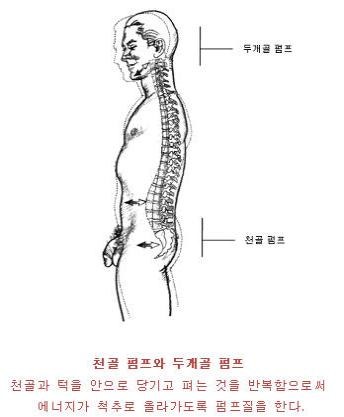 남성을 위한 멀티 오르가즘 훈련의 기초(성인 성교육) : 네이버 블로그