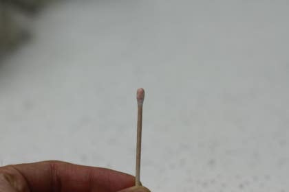 개가 짝짓기를 할 준비가 되었는지 어떻게 알 수 있나요