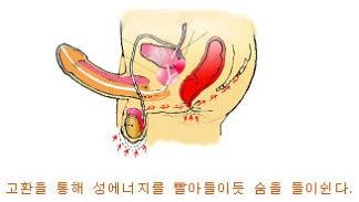 전신으로 확장시키는 남성의 멀티오르가즘(사정조절 성능력) : 네이버 블로그 전신으로 확장시키는 남성의 멀티오르가즘(사정조절 성능력) : 네이버 블로그
