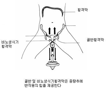 기역도를 이용한 페니스 확대하기 : 네이버 블로그 기역도를 이용한 페니스 확대하기 : 네이버 블로그