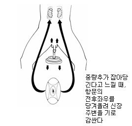 기역도를 이용한 페니스 확대하기 : 네이버 블로그 기역도를 이용한 페니스 확대하기 : 네이버 블로그