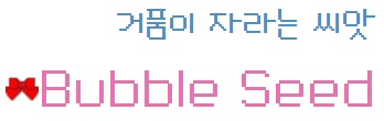 천연비누 버블씨드[여드름에 좋은 어성초&삼백초&감초 천연 비누]