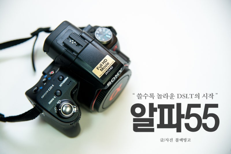 SONY A55 ㅣ 쓸수록 놀라운 DSLT의 시작 :: 소니 알파 55(SLT-A55V)개봉기 & 알파 55 첫출사 사진 @ 광....