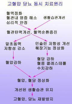  [강서구고혈압,강서구고혈압한의원]"고혈압치료한약의 원리"/고혈압치료/경희효자한의원