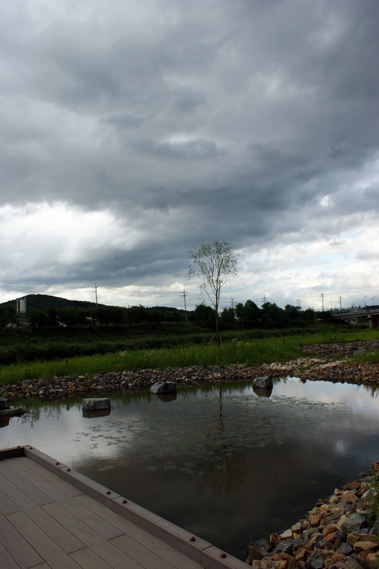  20110626 Rainy 안양천