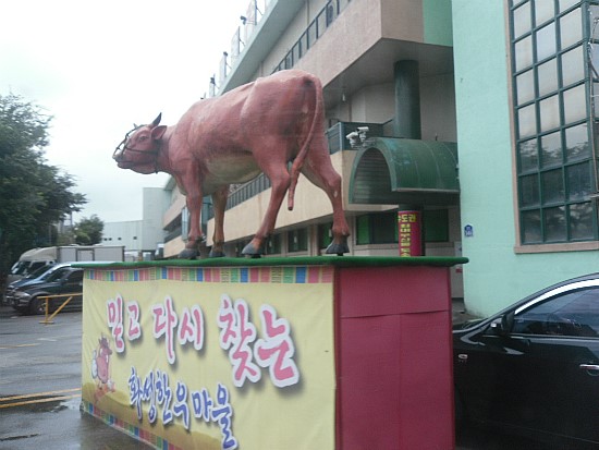  [110724] 화성 한우 마을