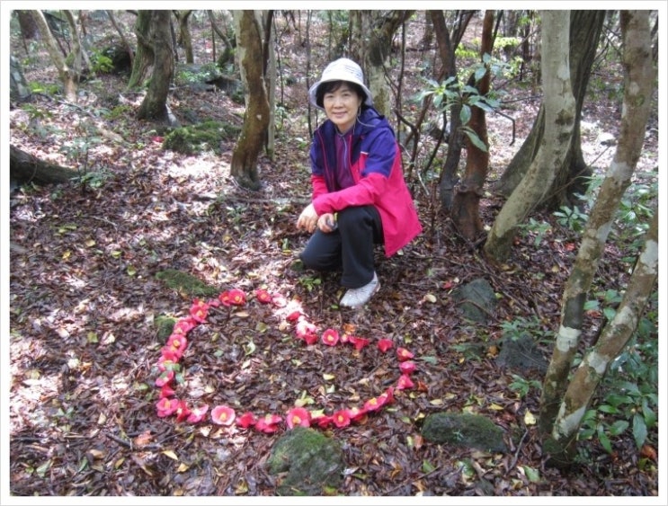 한라산 둘레길 (2) 동백길 숲길 따라 사박사박 한라산 둘레길 (2) 동백길 숲길 따라 사박사박