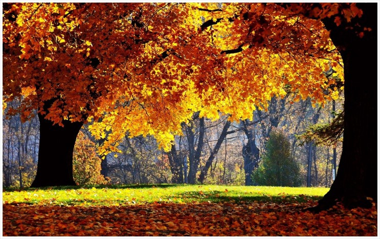 가을에 어울리는 고화질(Hd) 바탕화면(Wallpaper) 39장!! : 네이버 블로그
