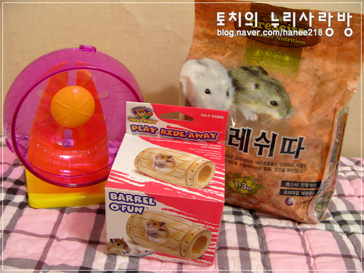  [펄햄스터 왕자]새로운 쳇바퀴가 왔어요!