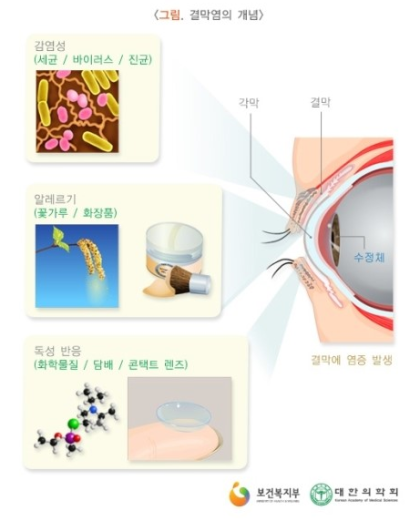 민간요법 구기자의 열매 효능 및 구기자차 만드는 법을 알아보다