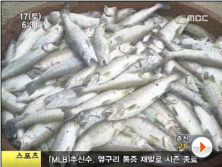 초유의 <b>정전</b>사태로 인하여 막대한 피해가 전국적으로... 