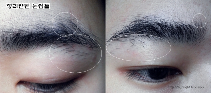 남자눈썹 정리 쉽게 남자 눈썹 다듬기 네이버 블로그
