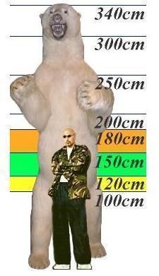 북극곰 크기 비교 : 네이버 블로그